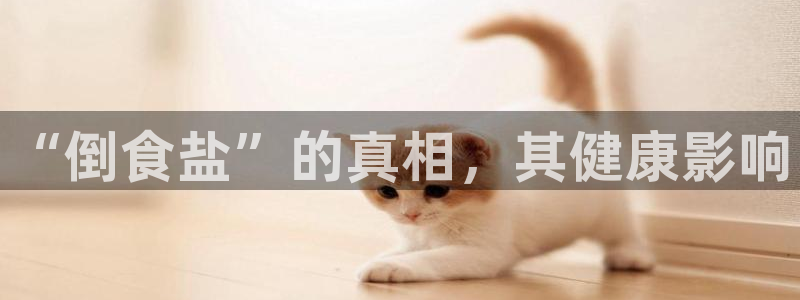 威九国际v96bet官网版