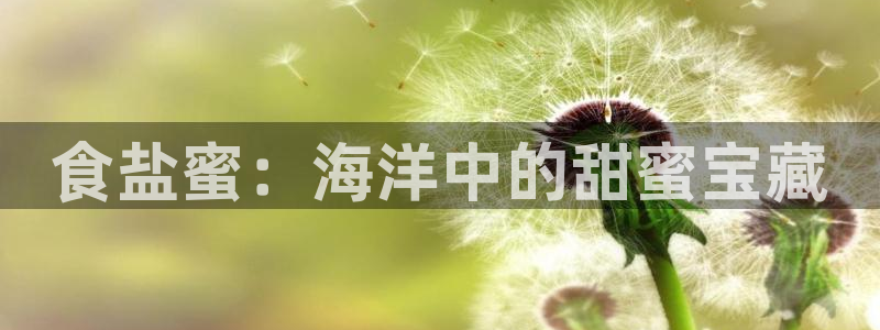 威九国际摩托电影HD