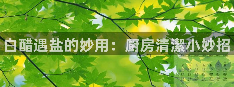 威九cp