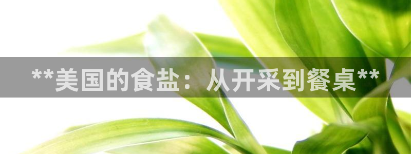 保定威九网络科技有限公司