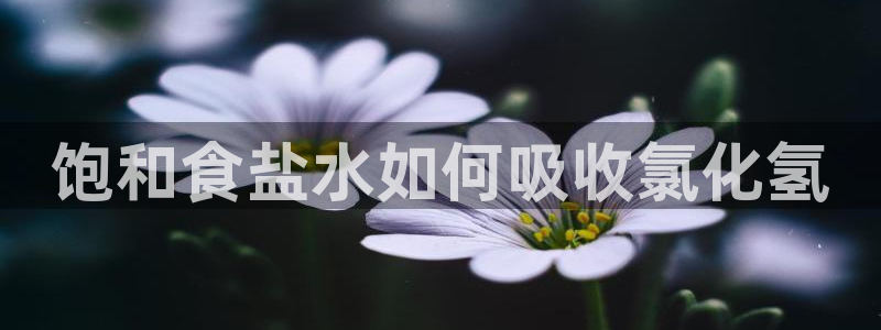 威九国际动漫