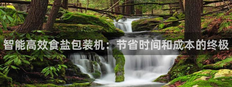 威九国际app无法登陆怎么回事