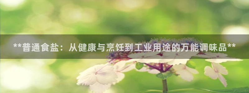 保定威九网络科技有限公司