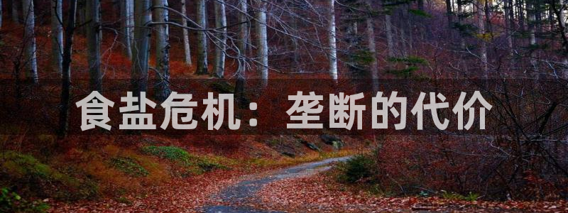 威九国际清砖码头在哪