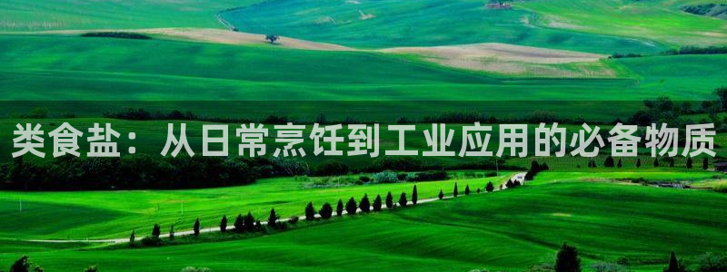 威九国际最新