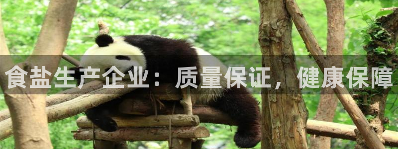 威九国际旗下艺人