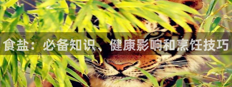 威九国际网站进入AB,AB