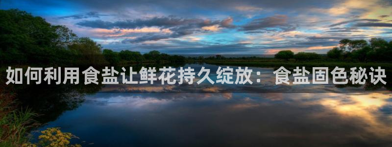 威九国际66m官网版