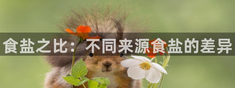 威九国际的金融服务怎么样