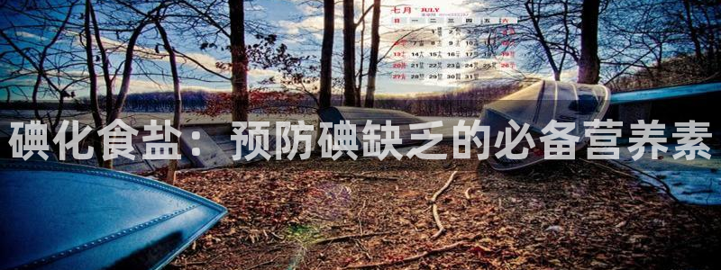 威九国际精