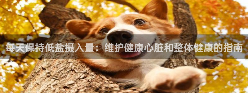 威九国际能提现吗安全吗