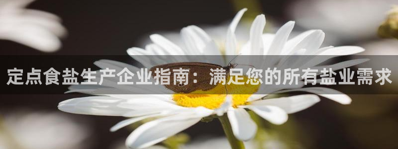 威九国际官网版下载