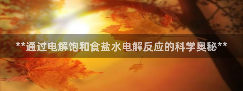 威九国际ppt免费下载网址