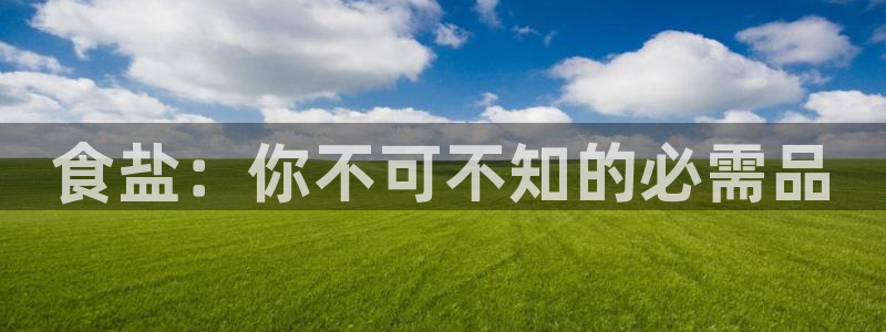 威九国际电子有限公司