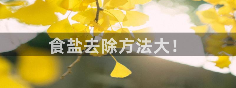78mppt威九国际