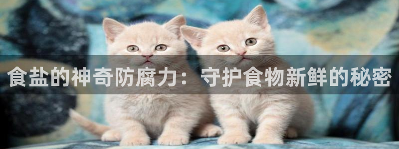 威九国际最受欢迎的功能