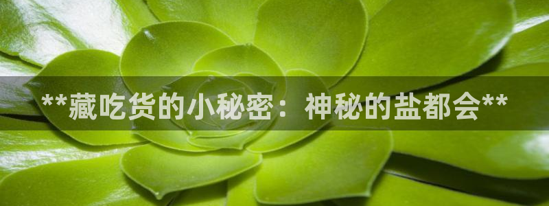 威九国际的金融服务怎么样