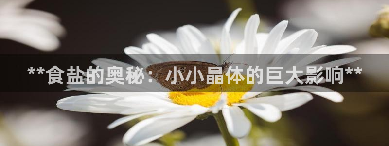威九国际网站入口官网首页