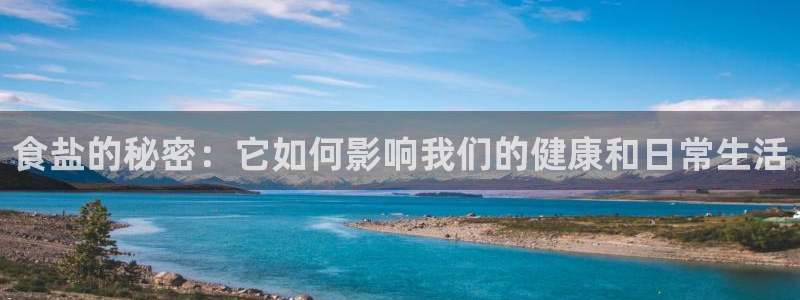 威九国际ppt官网