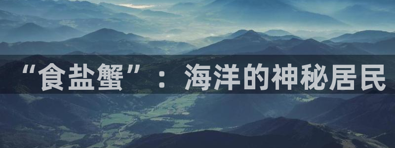 威九国际app网站官网