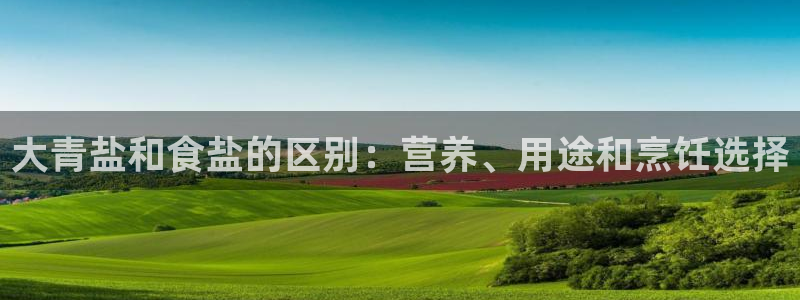 威九国际演员表