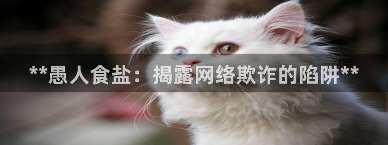 威九国际可以退钱吗怎么退款