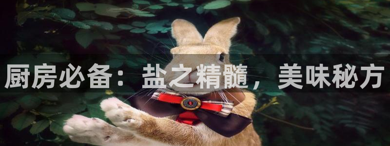 威九国际游戏网站