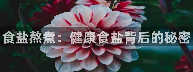 保定威九网络科技有限公司是干嘛的
