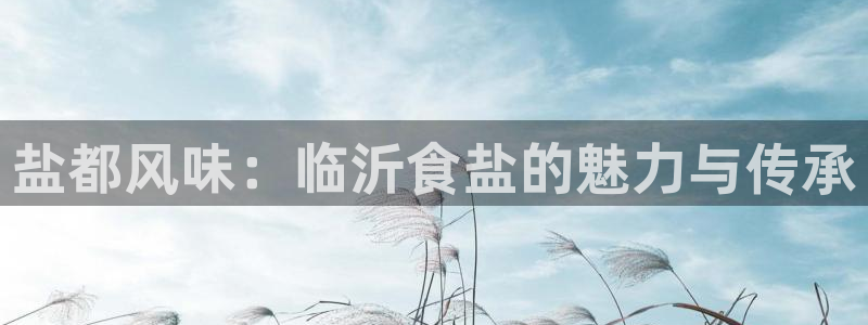 威九国际官网版