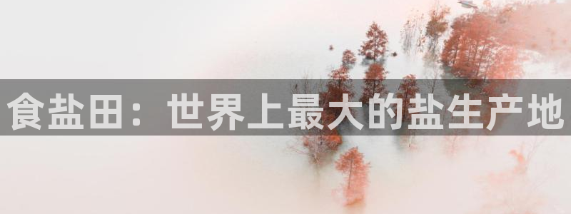 威九国际体育app下载