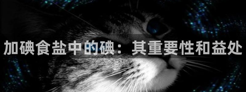 威九国际APP