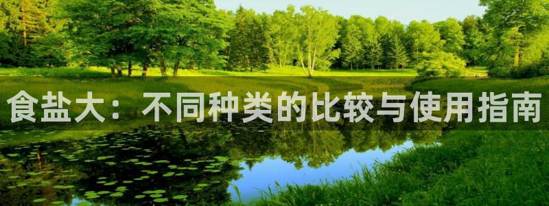 威九国际ppt免费