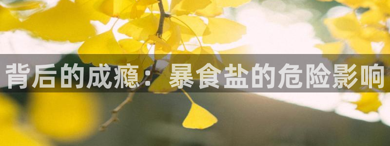 威九国际app无法登陆怎么回事