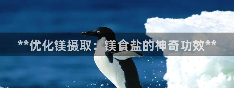 威九国际网站经常打不开网页