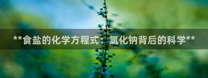 威九国际精选酒店电话