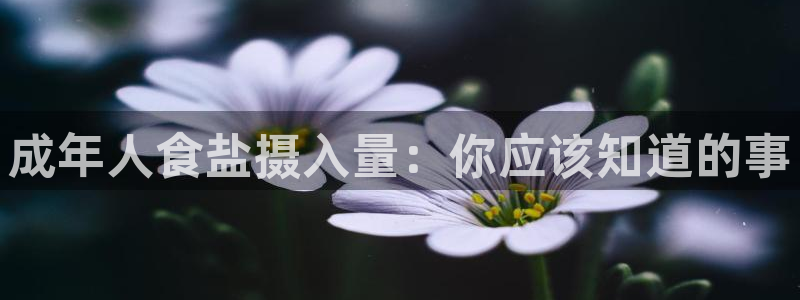 威九国际网站人入口