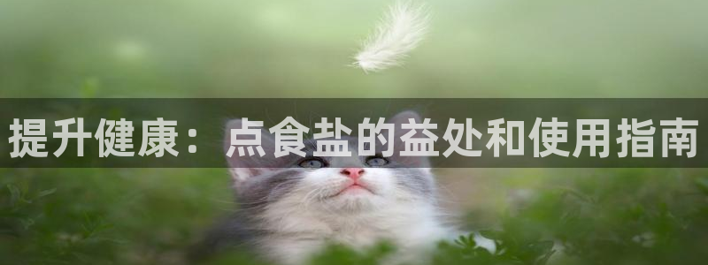 威九国际精免费下载