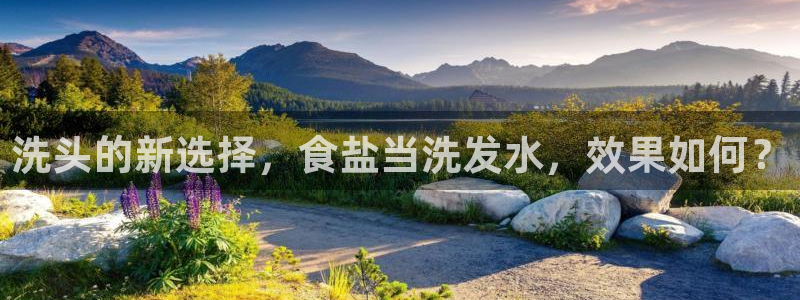 威九国际78m小说