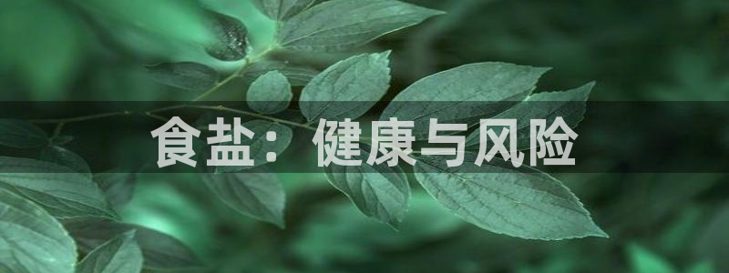 威九国际能提现吗