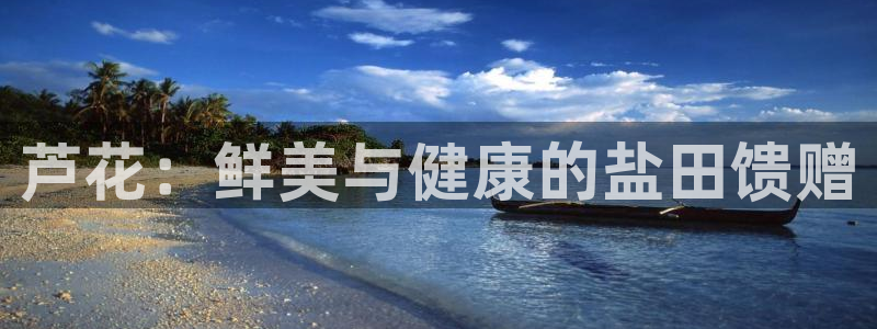 威九国际网站经常打不开怎么办