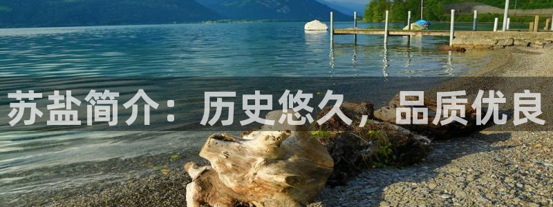 威九国际官方入口