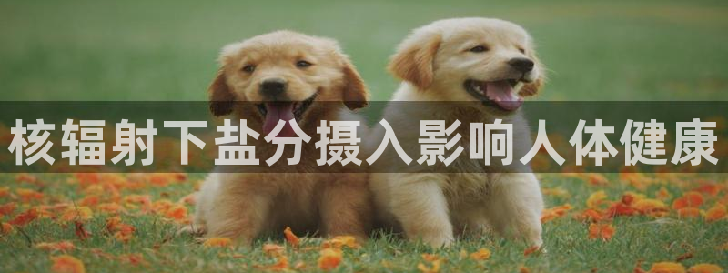威九国际v96BET