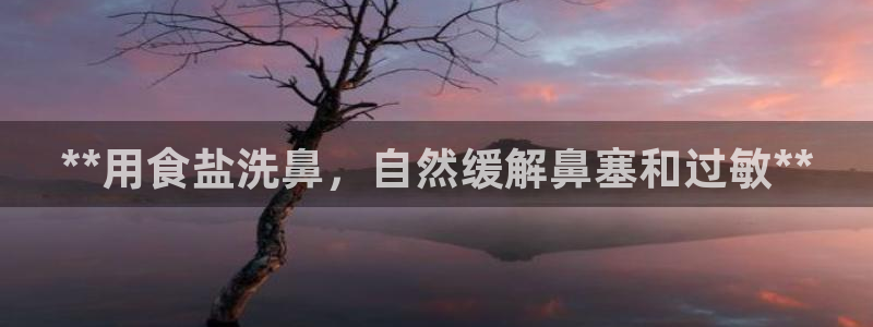 威九国际ppt免费下载网址