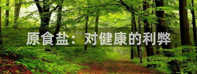 威九国际电影HD