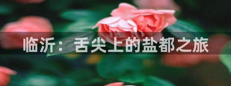 威九国际78cm