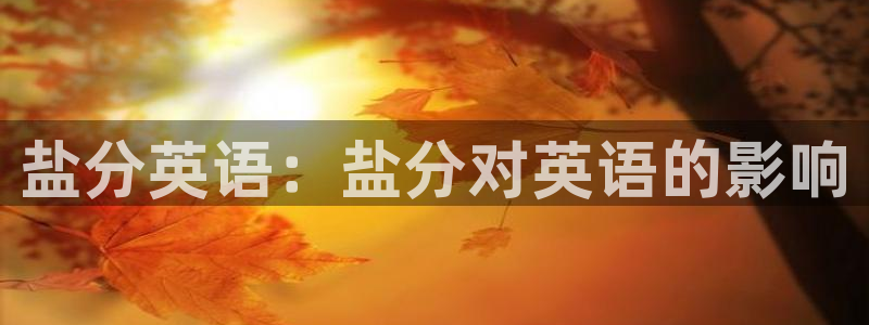 66m威九国际成长模式