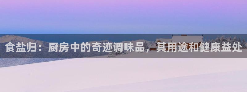 威九国际ppt免费