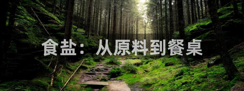 威九国际app入口官网