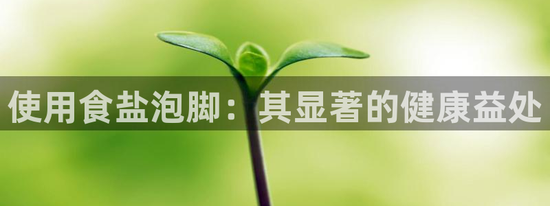 威九国际网页看视频弹窗的广告拦截插件