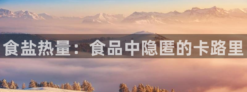 威九国际fX8x